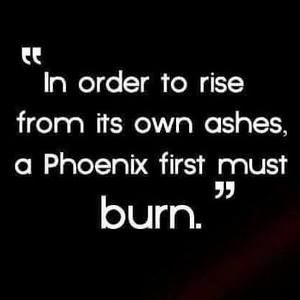 Meet your Posher, Marie